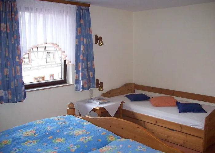 Bauernhofpension Buechsenschuetz * Harbshausen